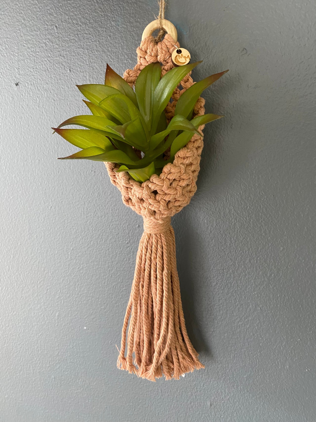 Wood Wall Hanging Macrame, Made Locally by Moon Macrame Modern Knots, Floral Moon or Mushroom Design